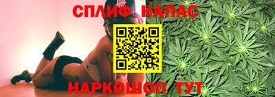 МДПВ Дмитров