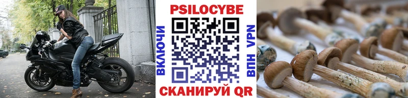 Галлюциногенные грибы мицелий  Киржач 